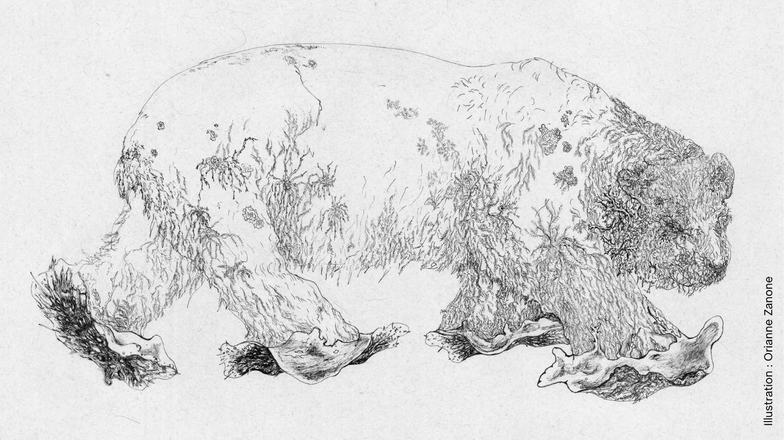 exposition-symbioses-art-science-2026-hep-vaud